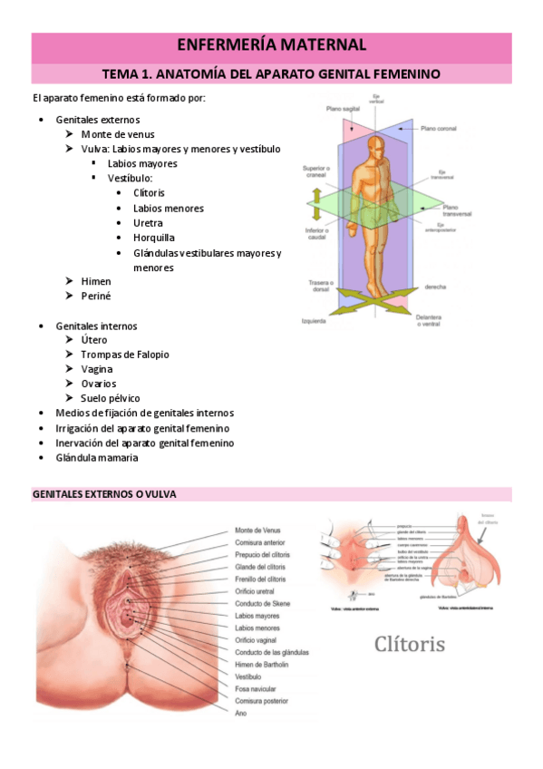 Miniatura del documento TEMA-1.pdf