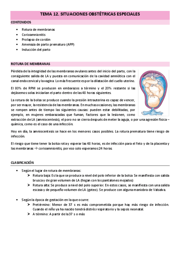 Miniatura del documento TEMA-12.pdf