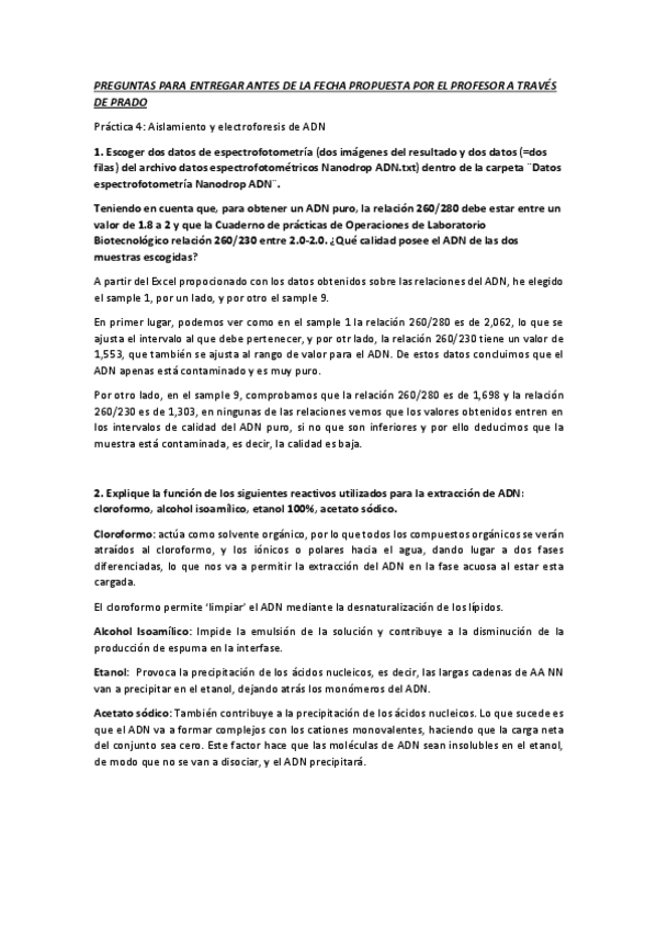 Miniatura del documento ACT-practica-4.pdf