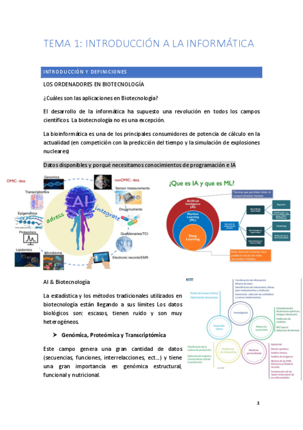 Miniatura del documento TEMA-1-INFO-total.pdf