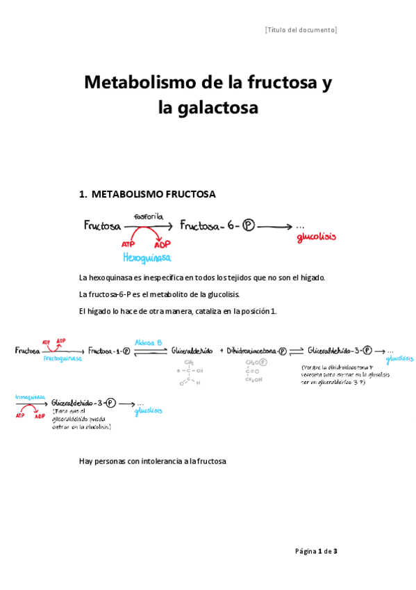 Miniatura del documento Metabolismos-fructosa-y-galactosa.pdf