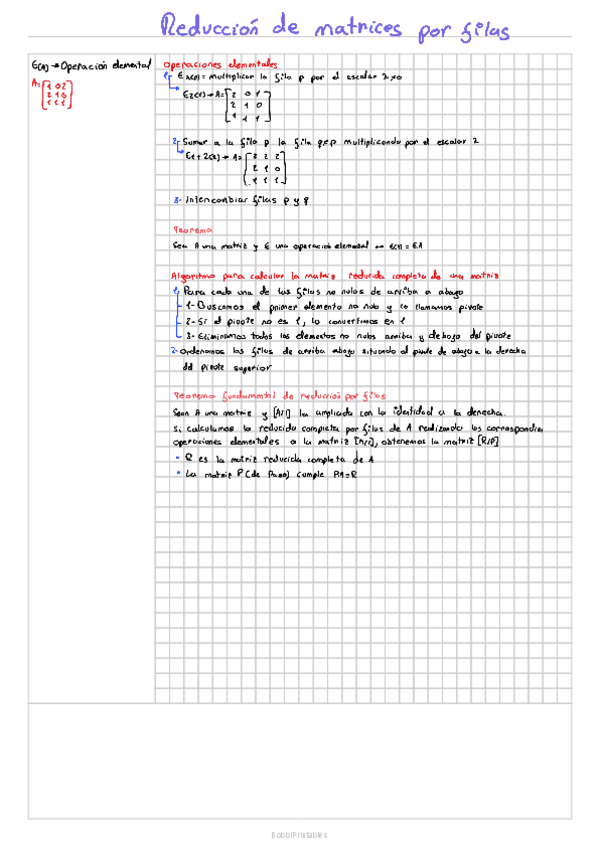 Miniatura del documento ApuntesPrimerParcial.pdf