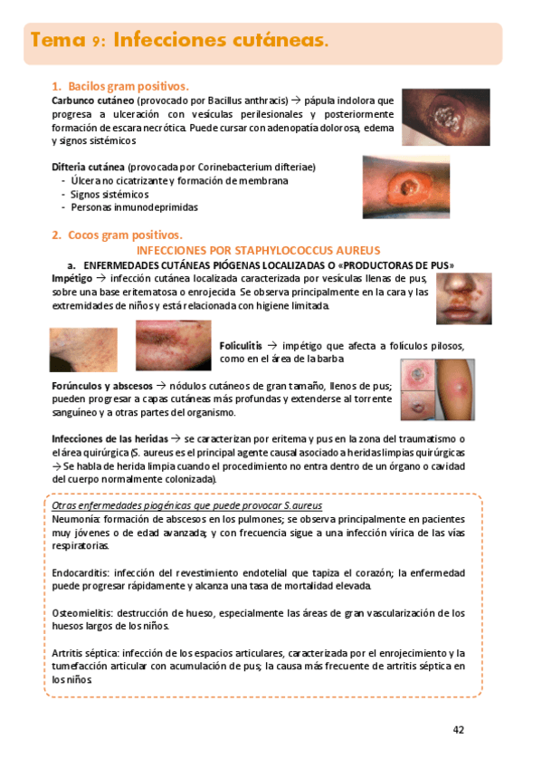 Miniatura del documento 9.micro.pdf