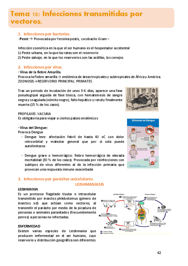 Miniatura del documento 10.micro.pdf