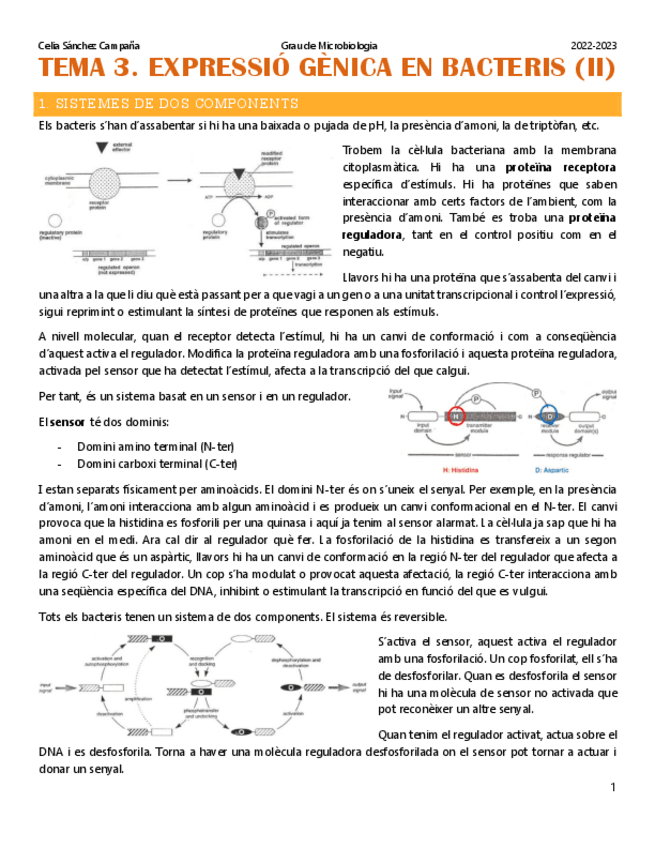 Miniatura del documento Tema-3.-Expressio-genica-en-bacteris-2.pdf