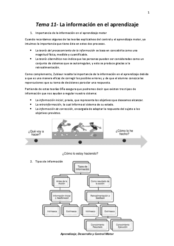Miniatura del documento Tema 11- La información en el aprendizaje.pdf