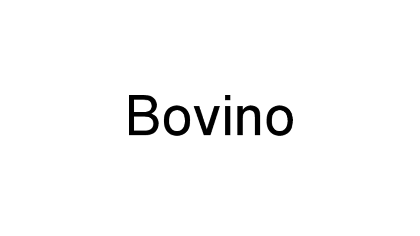 Miniatura del documento Bovino.pdf