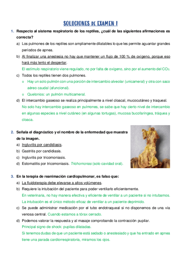 Miniatura del documento SOLUCIONES-de-EXAMEN-I.pdf