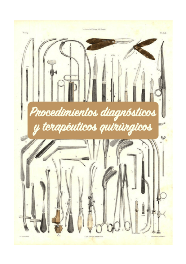 Miniatura del documento Seminarios-y-practicas-Procedimientos.pdf