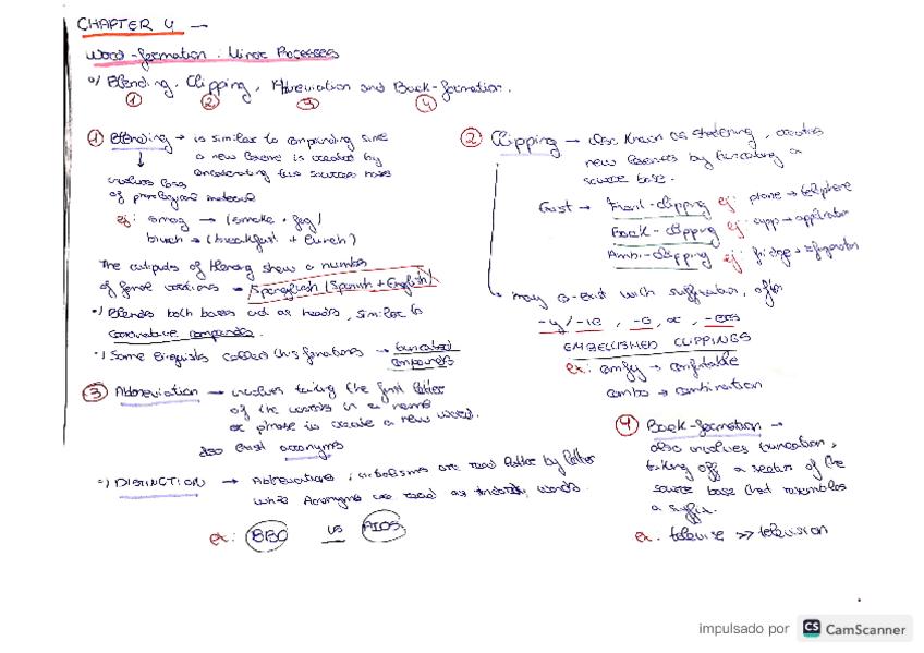 Miniatura del documento Minor-Processes.pdf