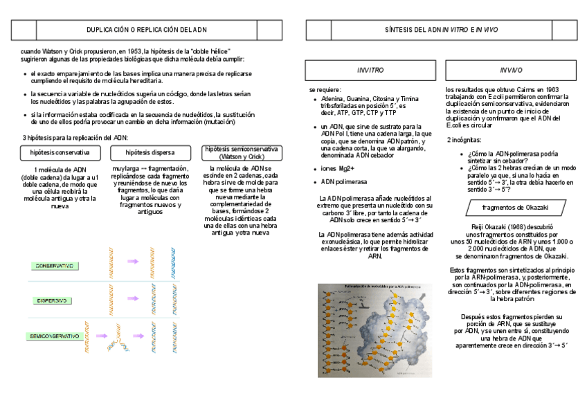 Miniatura del documento b.III-genetica-adn.pdf