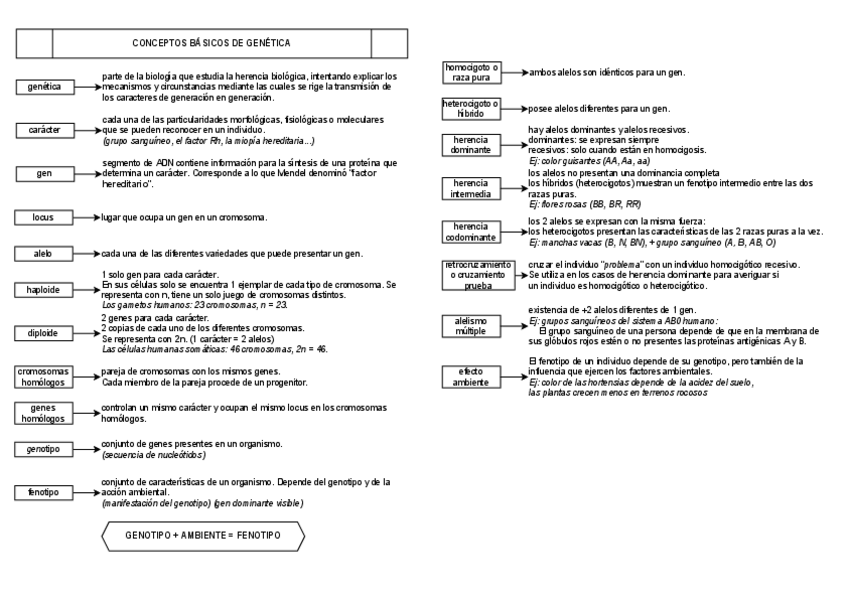 Miniatura del documento b.III-genetica-resumen.pdf