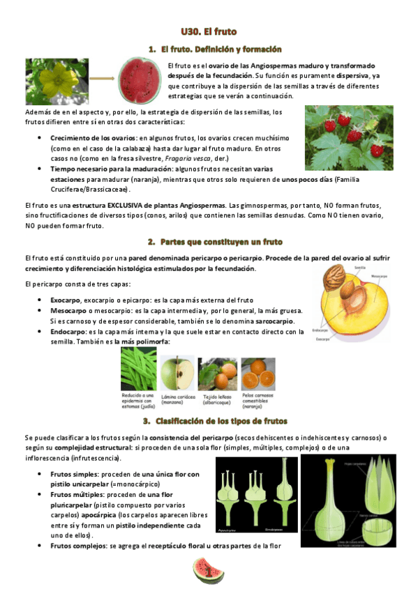 Miniatura del documento Tema-30.pdf