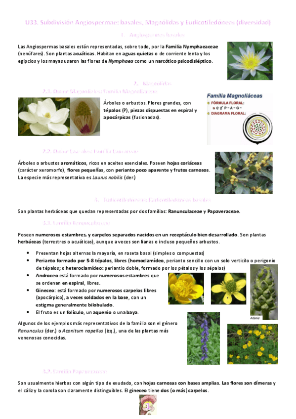 Miniatura del documento Tema-33.pdf