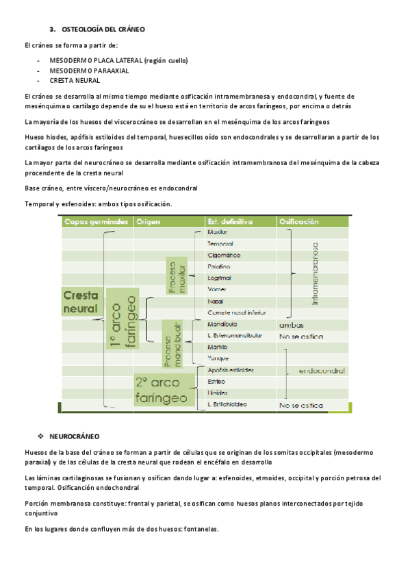 Miniatura del documento TEMA-4.2-OSTEOLOGIA-DEL-CRANEO.pdf