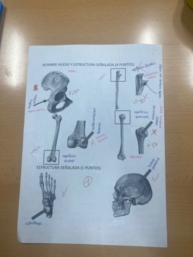 Miniatura del documento IMG1352.pdf