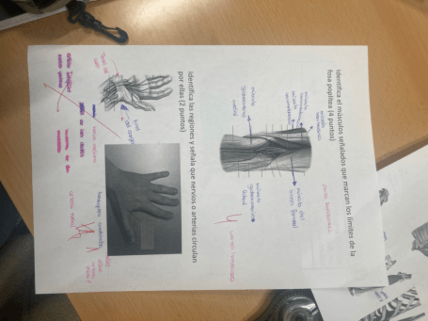 Miniatura del documento IMG1356.pdf