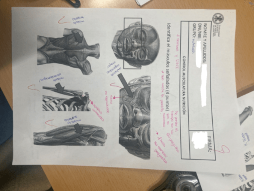 Miniatura del documento IMG1355.pdf