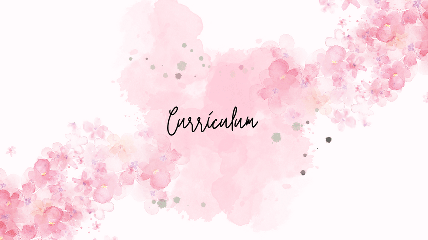 Miniatura del documento Curriculum.pdf.pdf