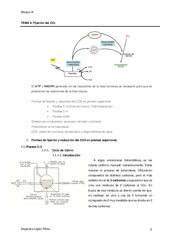 Miniatura del documento TEMA-8-FISIOLOGIA-VEGETAL.pdf