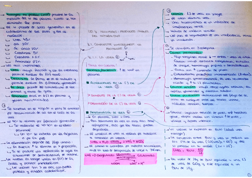 Miniatura del documento TEMA-4-resumen.pdf