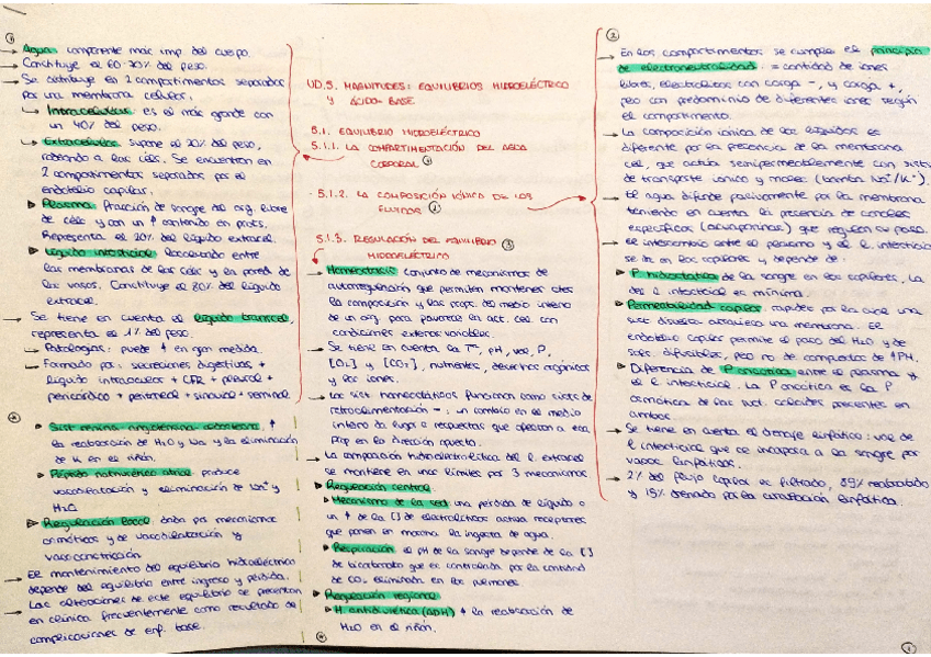 Miniatura del documento Tema-5-resumen.pdf
