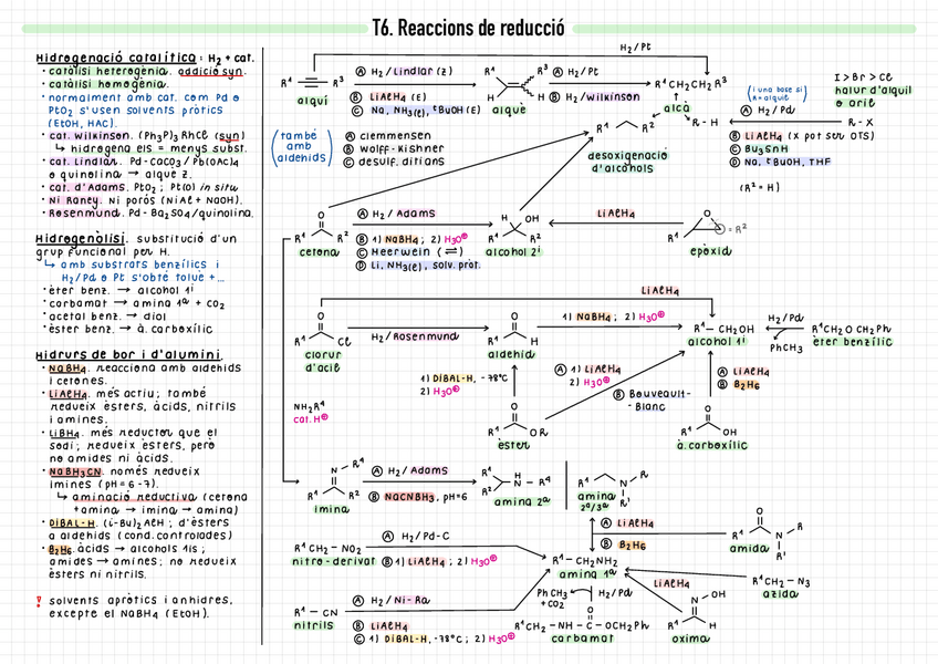 Miniatura del documento Resum-T6.pdf