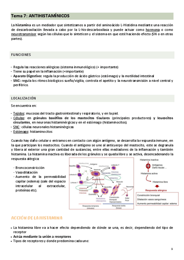 Miniatura del documento TEMA-7-farma.pdf