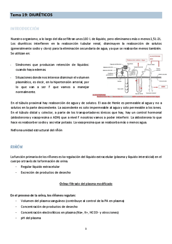 Miniatura del documento TEMA-19-farma.pdf