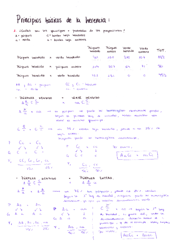 Miniatura del documento Ejercicios-primer-cuatri.pdf