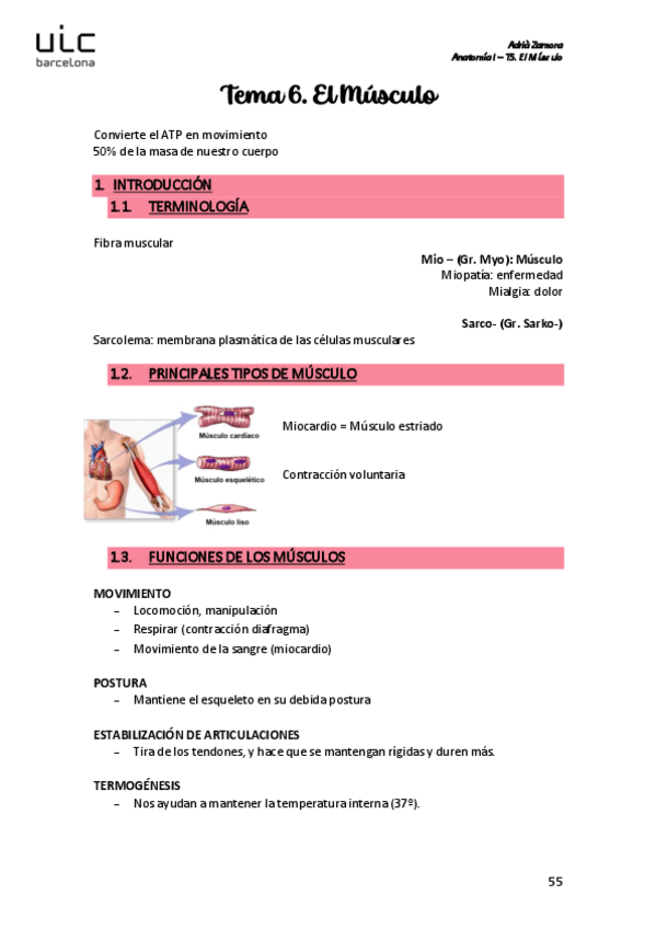 Miniatura del documento T6.-El-musculo.pdf