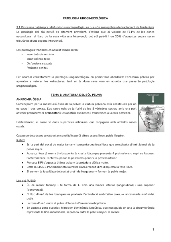 Miniatura del documento UROGINECOLOGICA.pdf