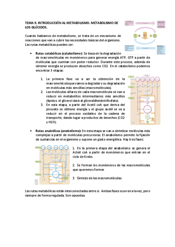 Miniatura del documento TEMA-9-y-13-bioq.pdf