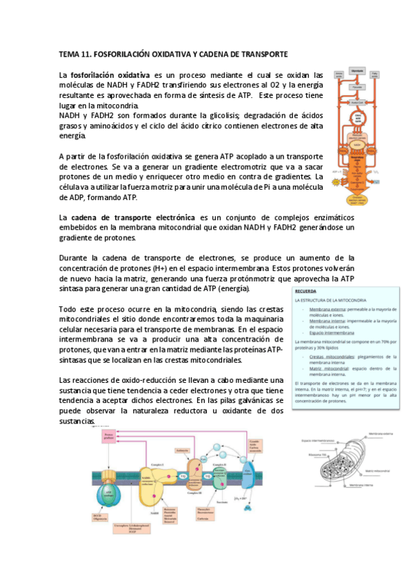 Miniatura del documento Tema-11-bioq.pdf