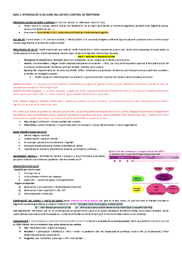 Miniatura del documento BLOC-2.-INTRODUCCIO-A-LES-CURES-PALLIATIVES-I-CONTROL-DE-SIMPTOMES.pdf