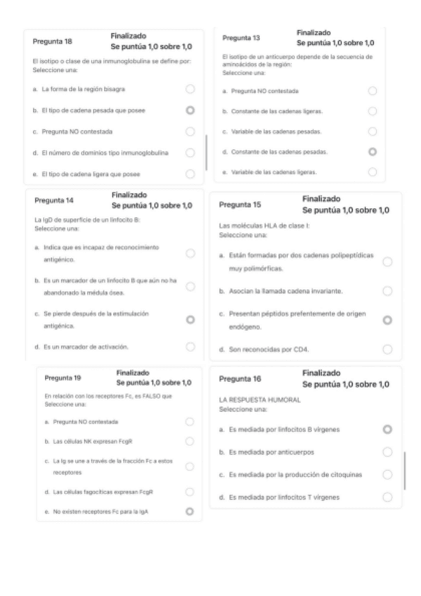 Miniatura del documento RECOPILACION-EXAMENES.pdf