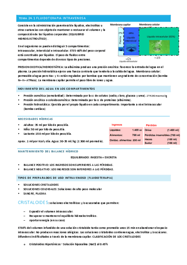 Miniatura del documento T24-FARMA.pdf