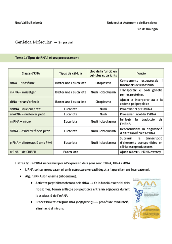Miniatura del documento tots-els-temes-GM-2n-parcial.pdf