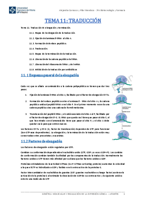 Miniatura del documento Tema-11-Genetica-Molecular.pdf