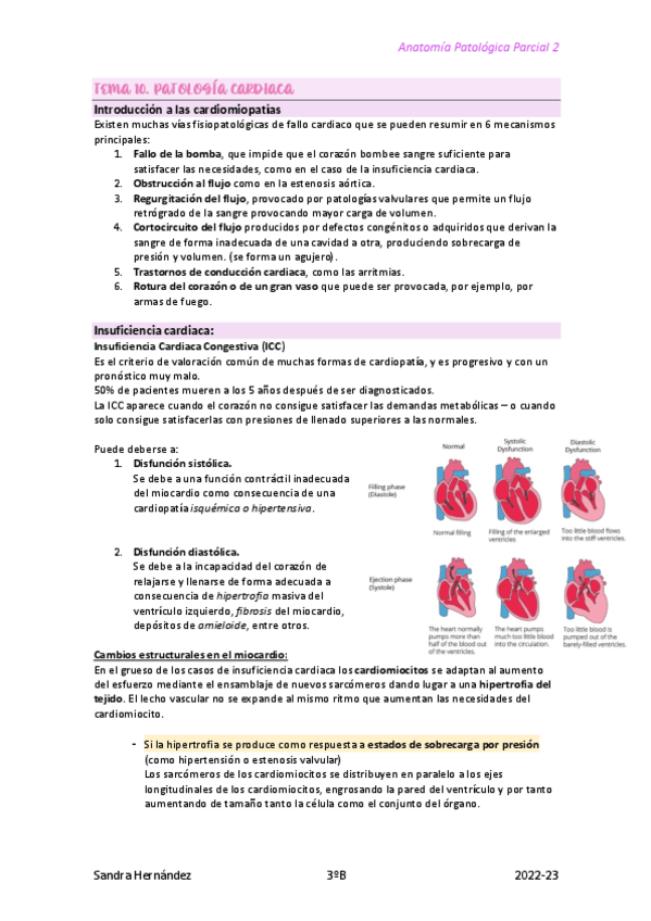 Miniatura del documento Anatopato-2o-Parcial.pdf