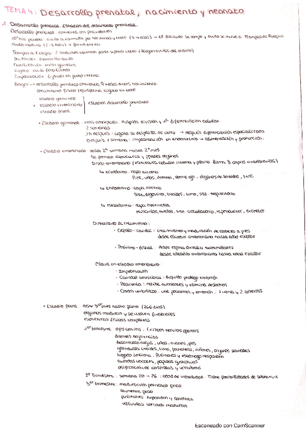 Miniatura del documento Psicologia-evolutiva-T4.pdf