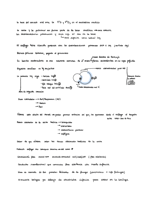 Miniatura del documento VIP-e-IMPs-ESPLACNO.pdf