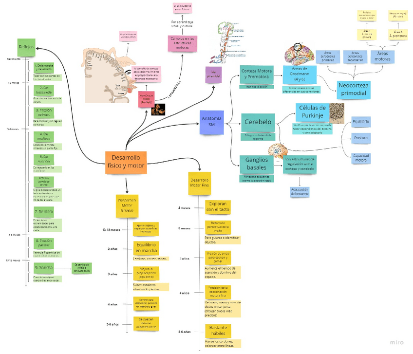Miniatura del documento Tema-2.2-MapaConceptual.pdf