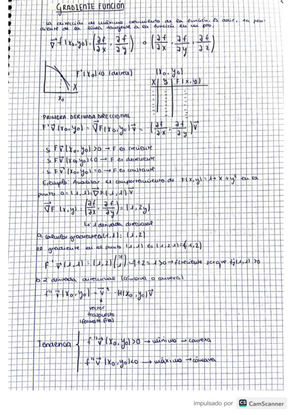 Miniatura del documento gradiente-tendencia-y-comportamiento.pdf