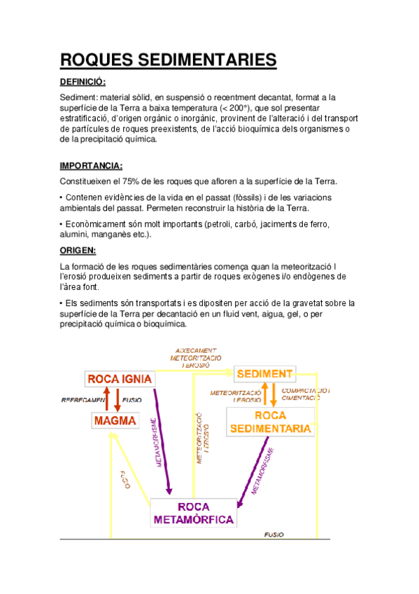 Miniatura del documento ROQUES-SEDIEMNTARIES-RESUM.pdf
