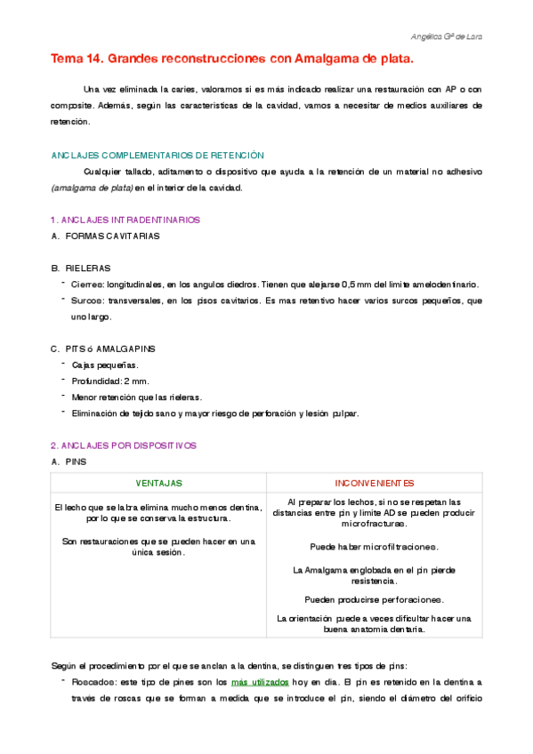 Miniatura del documento Tema 14.pdf