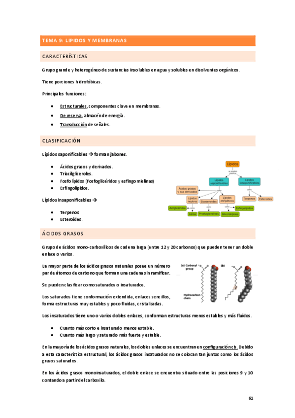 Miniatura del documento TEMA-9.pdf