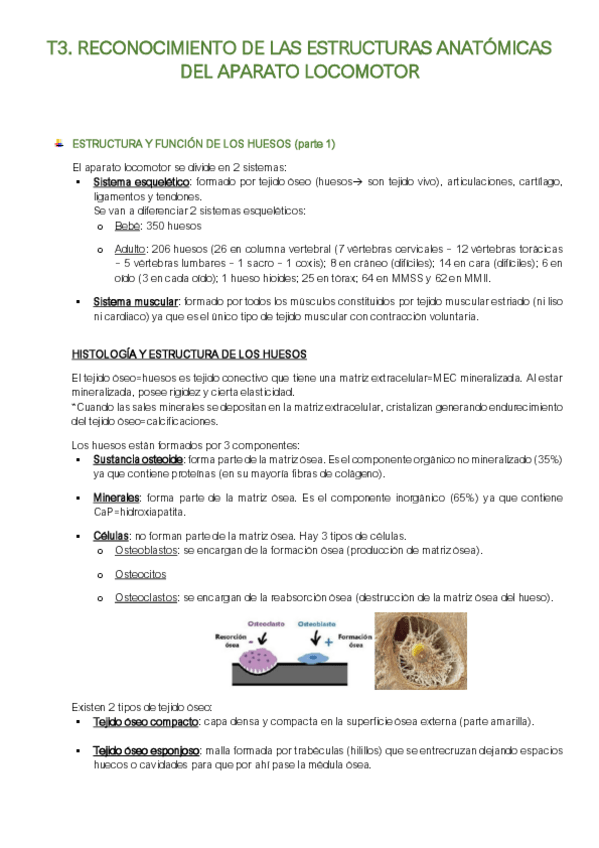 Miniatura del documento Resumen-T3-I.R-Articulaciones.pdf