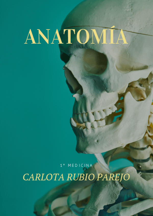 Miniatura del documento ANATOMIA-INFERIOR.pdf