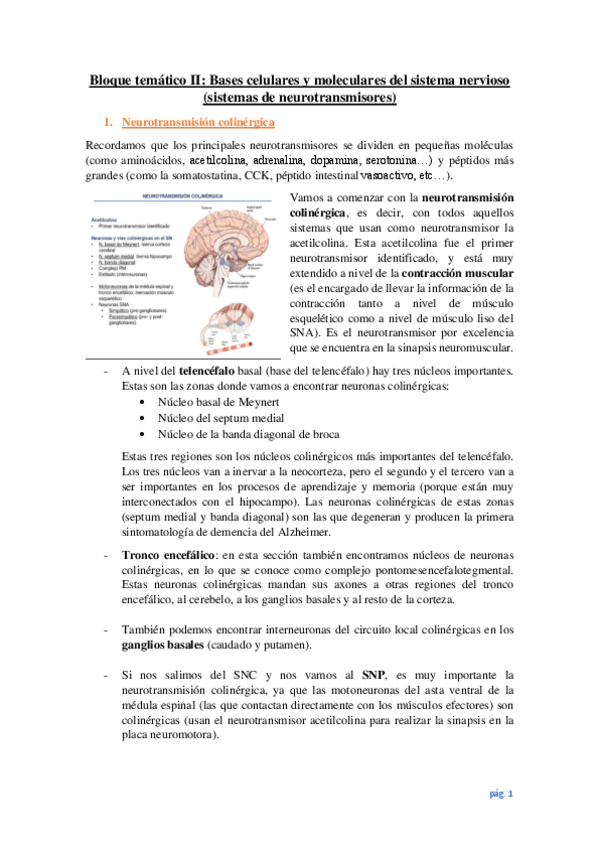 Miniatura del documento Bloque-tematico-II.-Parte-2.pdf